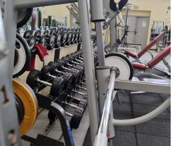 Photo d'une rangé d'altères